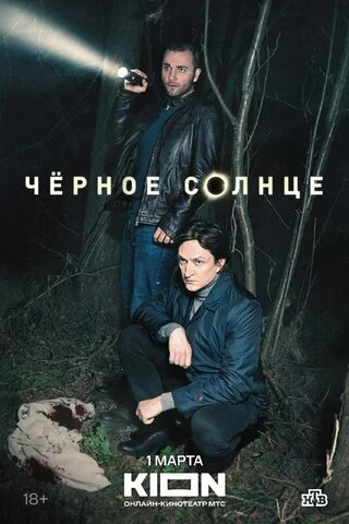Чёрное солнце постер